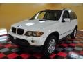 Alpine White - X5 3.0i Photo No. 2