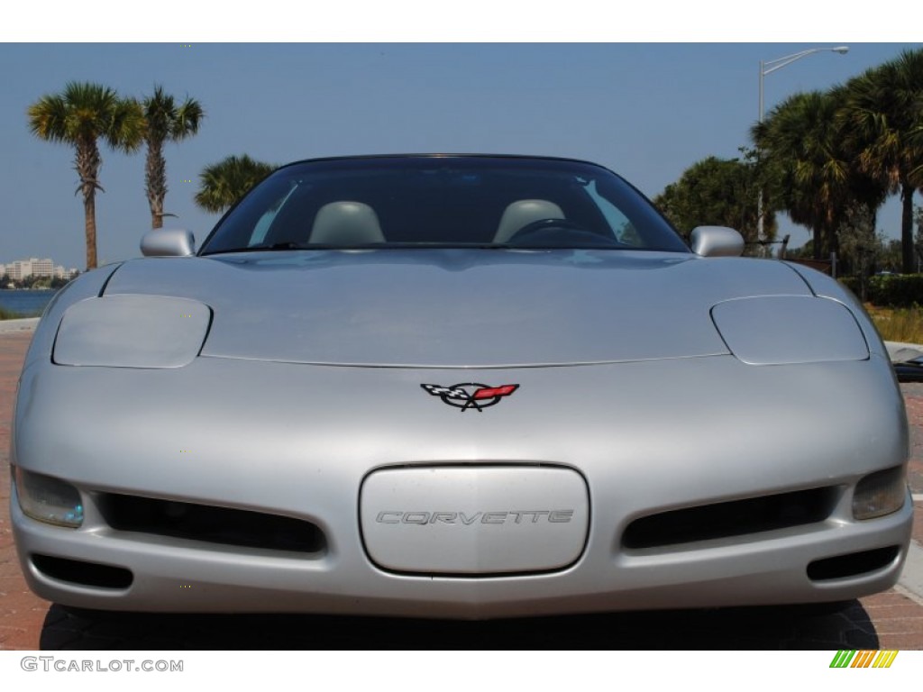 1998 Corvette Coupe - Sebring Silver Metallic / Light Gray photo #11