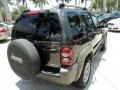 2005 Dark Khaki Pearl Jeep Liberty Renegade 4x4  photo #6