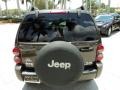 2005 Dark Khaki Pearl Jeep Liberty Renegade 4x4  photo #7