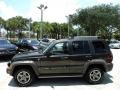 2005 Dark Khaki Pearl Jeep Liberty Renegade 4x4  photo #10