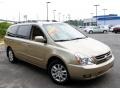 2007 Sunset Gold Kia Sedona EX  photo #3