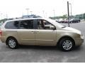 2007 Sunset Gold Kia Sedona EX  photo #4