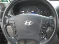 Ebony Black - Santa Fe GLS 4WD Photo No. 19