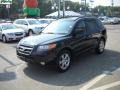 Ebony Black - Santa Fe Limited 4WD Photo No. 14