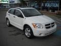 Stone White - Caliber SXT Photo No. 1