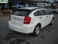 Stone White - Caliber SXT Photo No. 3