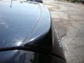 Onyx Black - Maxima 3.5 SE Photo No. 33