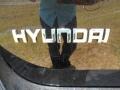 2011 Phantom Black Metallic Hyundai Santa Fe Limited  photo #15