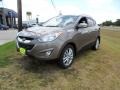 2011 Chai Bronze Hyundai Tucson Limited  photo #7