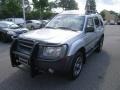 2002 Silver Ice Metallic Nissan Xterra SE V6 SC 4x4  photo #1