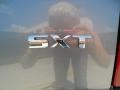 Silver Steel Metallic - Magnum SXT Photo No. 23