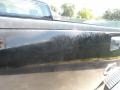 2008 Black Ford F150 XL Regular Cab  photo #20