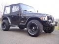 1999 Black Jeep Wrangler Sport 4x4  photo #34