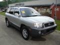 Pewter - Santa Fe GLS AWD Photo No. 2