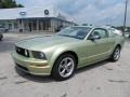 Legend Lime Metallic - Mustang GT Deluxe Coupe Photo No. 1