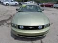 2005 Legend Lime Metallic Ford Mustang GT Deluxe Coupe  photo #2