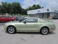 2005 Legend Lime Metallic Ford Mustang GT Deluxe Coupe  photo #3