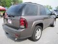 2007 Desert Brown Metallic Chevrolet TrailBlazer LT 4x4  photo #5