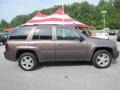 Desert Brown Metallic - TrailBlazer LT 4x4 Photo No. 6