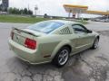 2005 Legend Lime Metallic Ford Mustang GT Deluxe Coupe  photo #10
