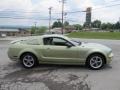 2005 Legend Lime Metallic Ford Mustang GT Deluxe Coupe  photo #11