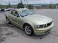 2005 Legend Lime Metallic Ford Mustang GT Deluxe Coupe  photo #12