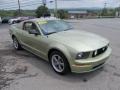 Legend Lime Metallic 2005 Ford Mustang GT Deluxe Coupe Exterior