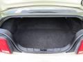  2005 Mustang GT Deluxe Coupe Trunk
