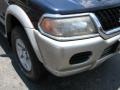 Memphis Blue Pearl - Montero Sport XLS Photo No. 2