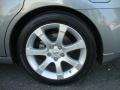 Precision Gray Metallic - Maxima 3.5 SE Photo No. 32