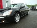 Super Black - Maxima 3.5 SE Photo No. 2