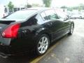 Super Black - Maxima 3.5 SE Photo No. 8