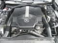 5.0 Liter SOHC 24-Valve V8 Engine for 2003 Mercedes-Benz SL 500 Roadster #50685685