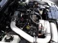 4.6 Liter Paxton Supercharged SOHC 16-Valve V8 2000 Ford Mustang Saleen S281 Convertible Engine