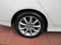 Premium White Pearl - TSX Sedan Photo No. 10
