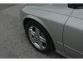 Silver Frost Metallic - LS V8 Photo No. 46