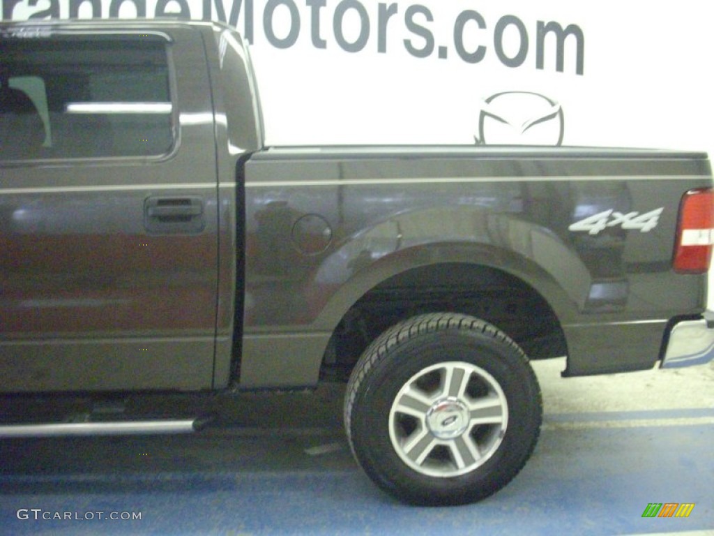 2006 F150 XLT SuperCrew 4x4 - Dark Shadow Grey Metallic / Medium/Dark Flint photo #4