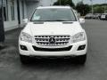 Diamond White Metallic - ML 350 Photo No. 13