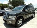 Silver Graphite Gray - QX 56 Photo No. 14