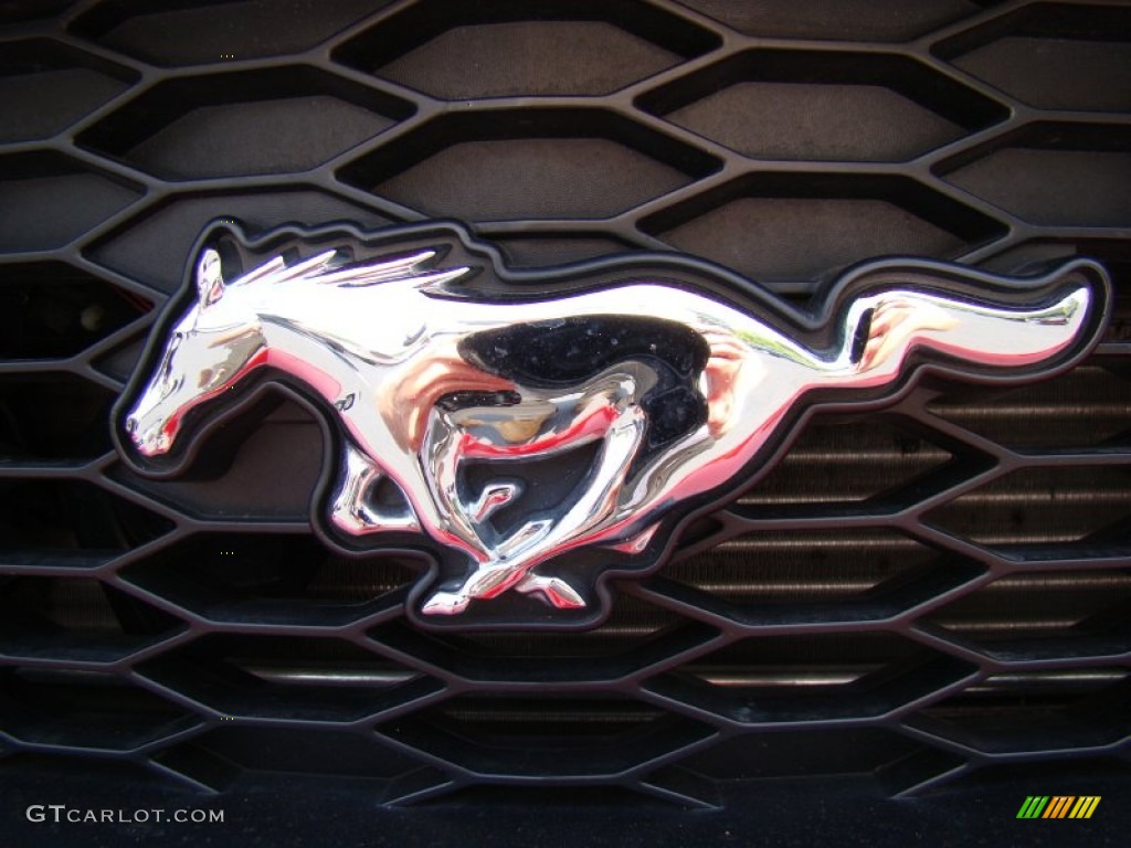 2009 Ford Mustang Racecraft 420S Supercharged Coupe Marks and Logos Photo #50709388