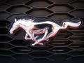 2009 Ford Mustang Racecraft 420S Supercharged Coupe Badge and Logo Photo