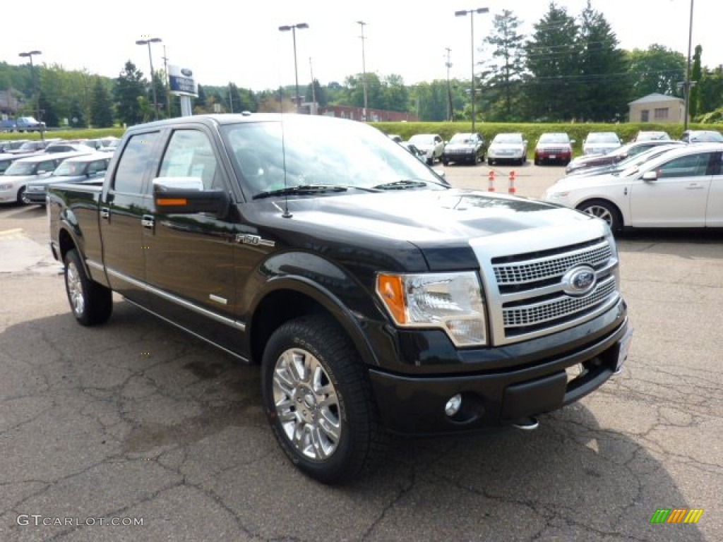 2011 F150 Platinum SuperCrew 4x4 - Tuxedo Black Metallic / Steel Gray photo #6