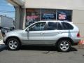 2003 Titanium Silver Metallic BMW X5 4.4i  photo #3