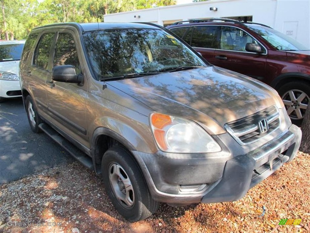 2002 CR-V LX - Mojave Mist Metallic / Saddle photo #1