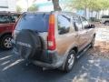 2002 Mojave Mist Metallic Honda CR-V LX  photo #2