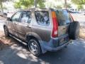 2002 Mojave Mist Metallic Honda CR-V LX  photo #3