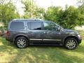 Silver Graphite Gray - QX 56 4WD Photo No. 4
