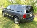 Silver Graphite Gray - QX 56 4WD Photo No. 6