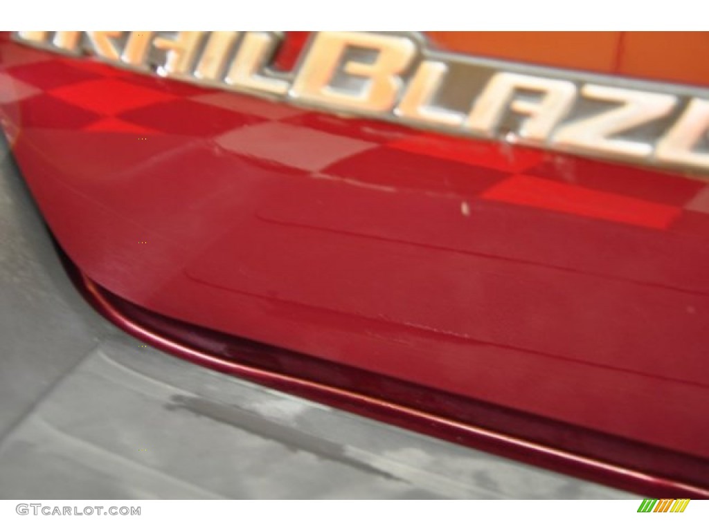 2004 TrailBlazer LS 4x4 - Medium Red Metallic / Medium Pewter photo #21